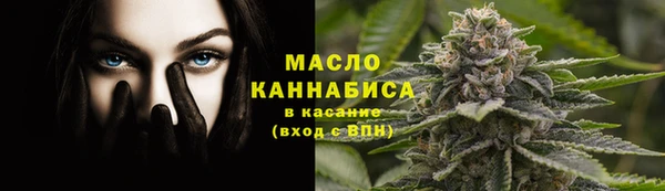 молекула духа Волоколамск
