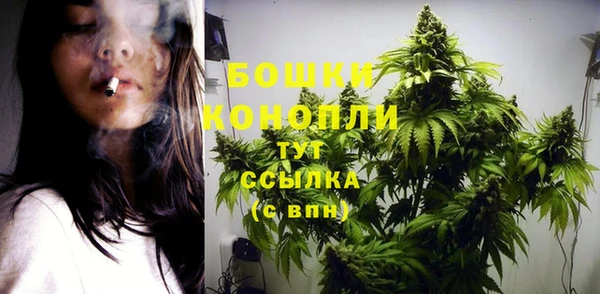 СК Володарск