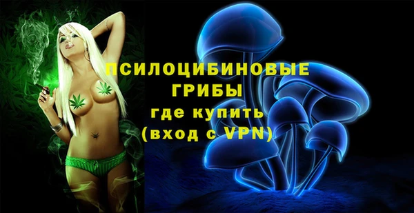 соль ск Волосово